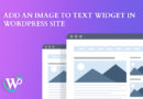 Add an IMAGE to Text Widget in WordPress site