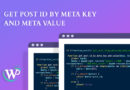 Get Post ID by meta key and meta value